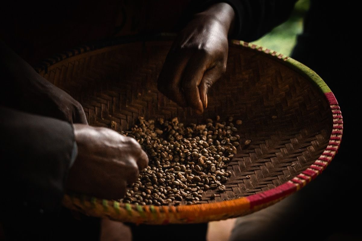 Machame Climbing 6 days