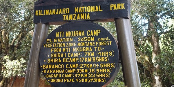 mti mkubwa kilimanjaro climb